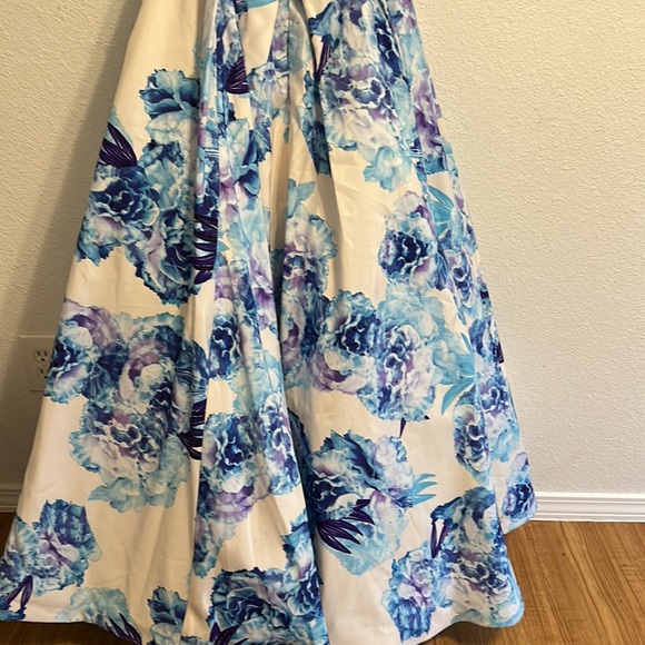 Gorgeous Madeline Gardner prom Dress Size 4 - Picture 10 of 16
